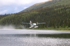 Dave's pics 267